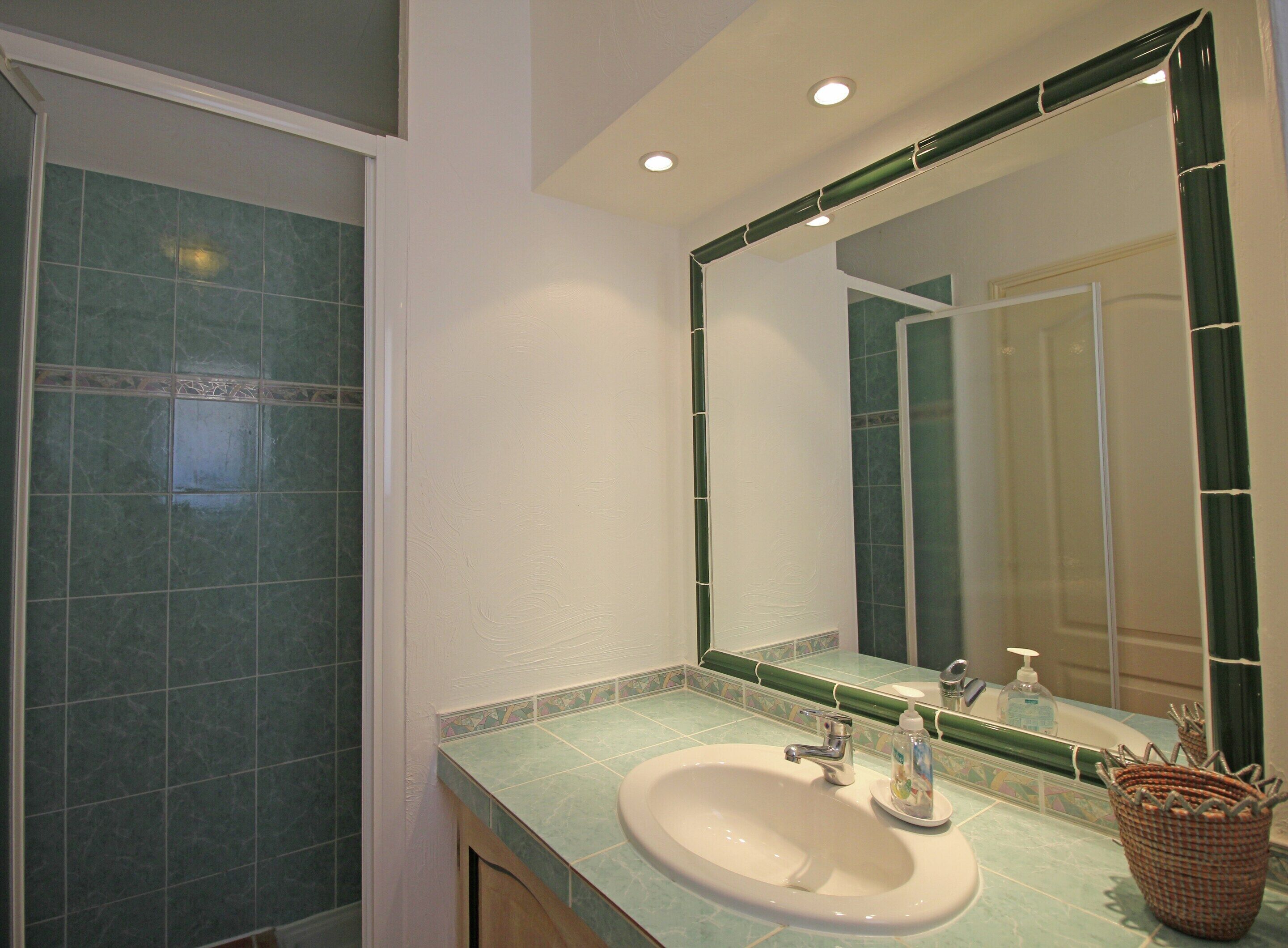 A bathroom with a large mirror, a sink, and a shower area.