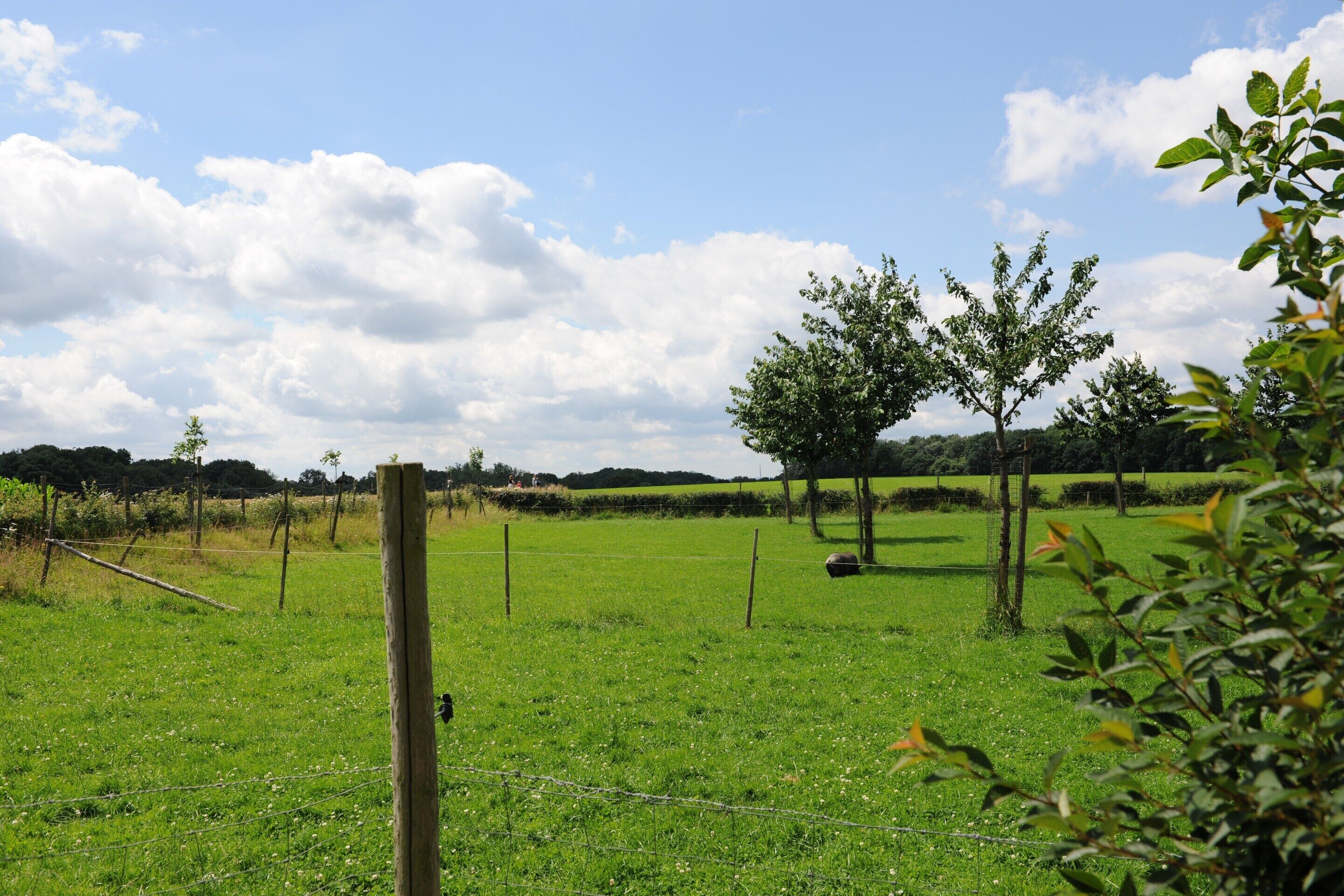 Hus | Utsikt fra overnattingsstedet