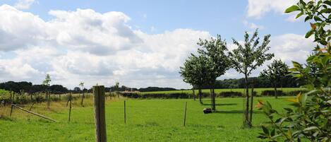 Hus | Utsikt fra overnattingsstedet