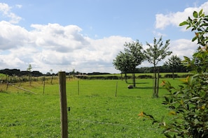 House | View from property - Holiday Home in Valkenburg Near Forest (Valkenburg aan de Geul)