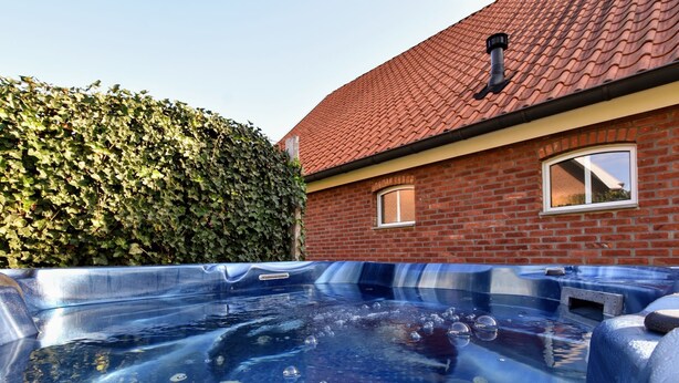Exterior - Holiday Home With Sauna, Private Heated Pool in Aalten (Aalten)