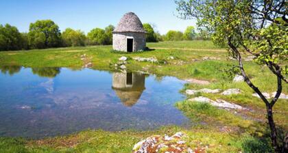 Dordogne Poolside Escape