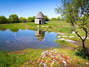 Exterior - Dordogne Poolside Escape (Lavercantiere)