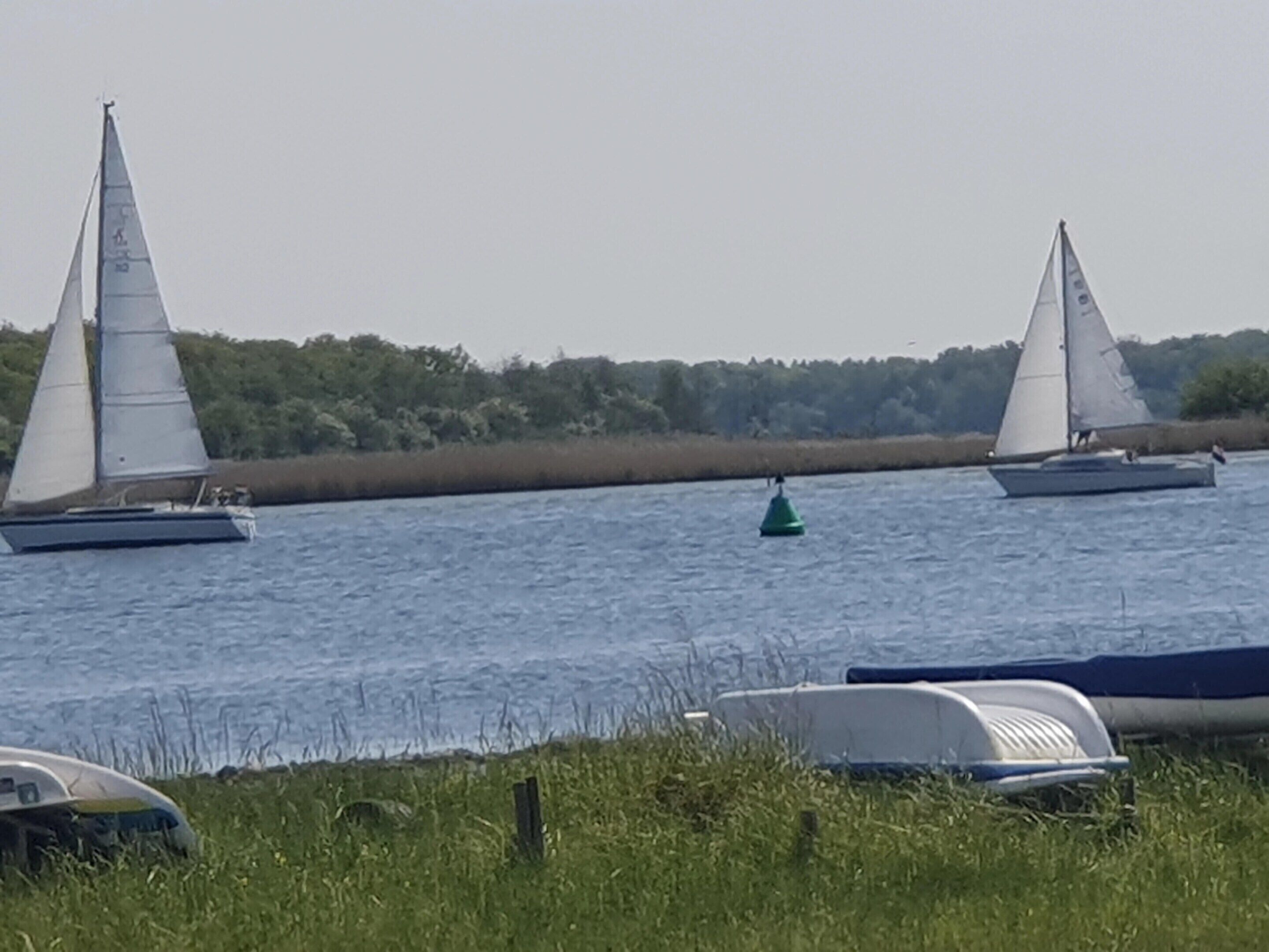 Ruhige Wasserfläche mit Segelbooten und einer grünen Boje.