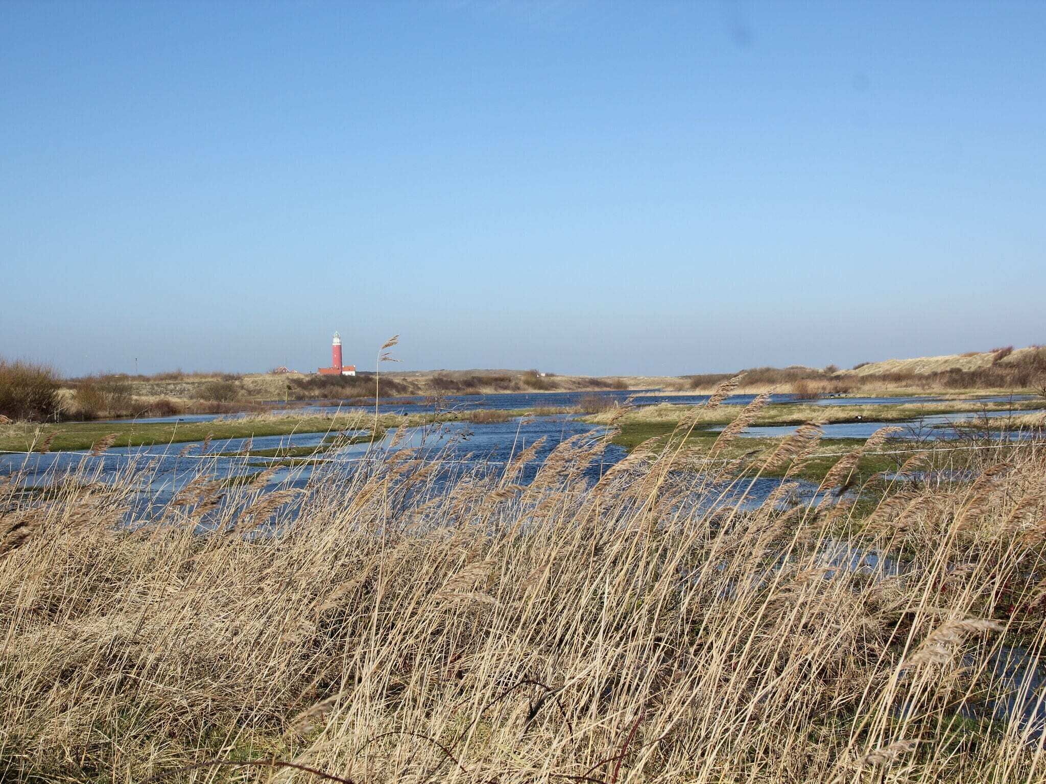 Un paisaje costero con un faro, zonas húmedas y vegetación escasa.