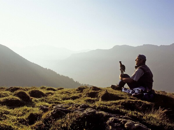 A person sitting on a grassy hill with a mountain range in the background. - Chalet in Saalbach Near Ski Lift (Saalbach-Hinterglemm)
