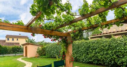 Colourful Holiday Home in Noves With Swimming Pool