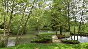 House | View from property