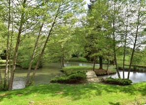 House | View from property