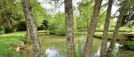 Casa | Vista desde la propiedad