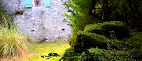 House | Garden