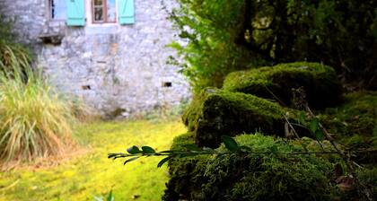 Cahors Countryside Retreat