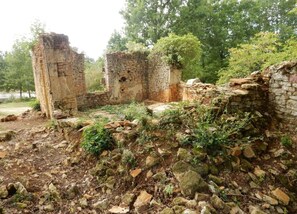 Ferienhaus | Blick von der Unterkunft