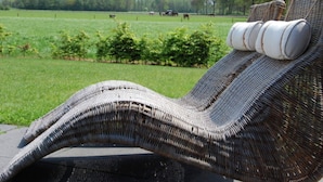A wicker lounge chair with a cushion, positioned outdoors with a view of a green field and trees in the background.