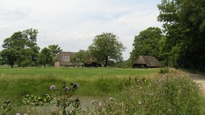 A rural landscape with a thatched-roof house, a larger stone house, and a field with wildflowers. - Holiday Home With Garden in Den Ham (Den Ham)
