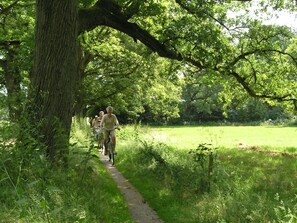 Ferienhaus | Blick von der Unterkunft