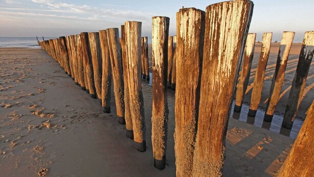 A beach with wooden posts lining the shore. - Luxurious Apartment in Koudekerke With Parking (Koudekerke)