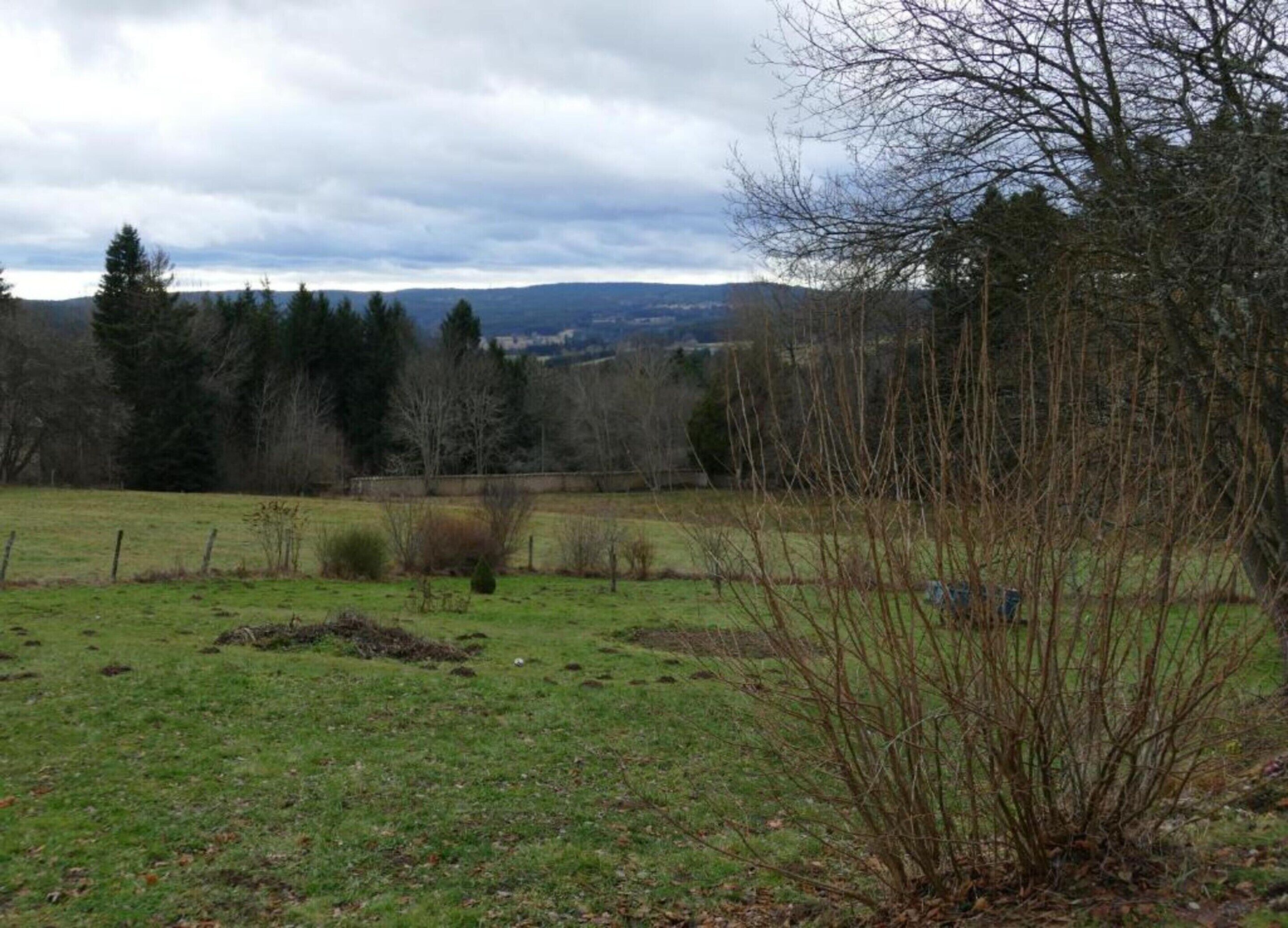 A rural landscape with a grassy field, trees, and a distant view of hills.