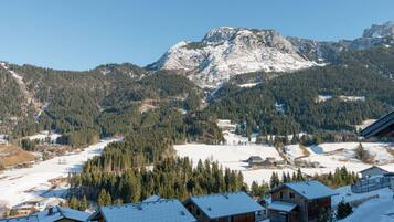 Chalet | View from property