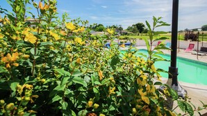 Piscine extérieure