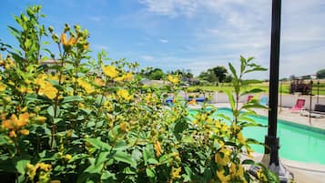 Kolam renang terbuka
