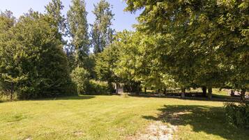 Cottage | View from property