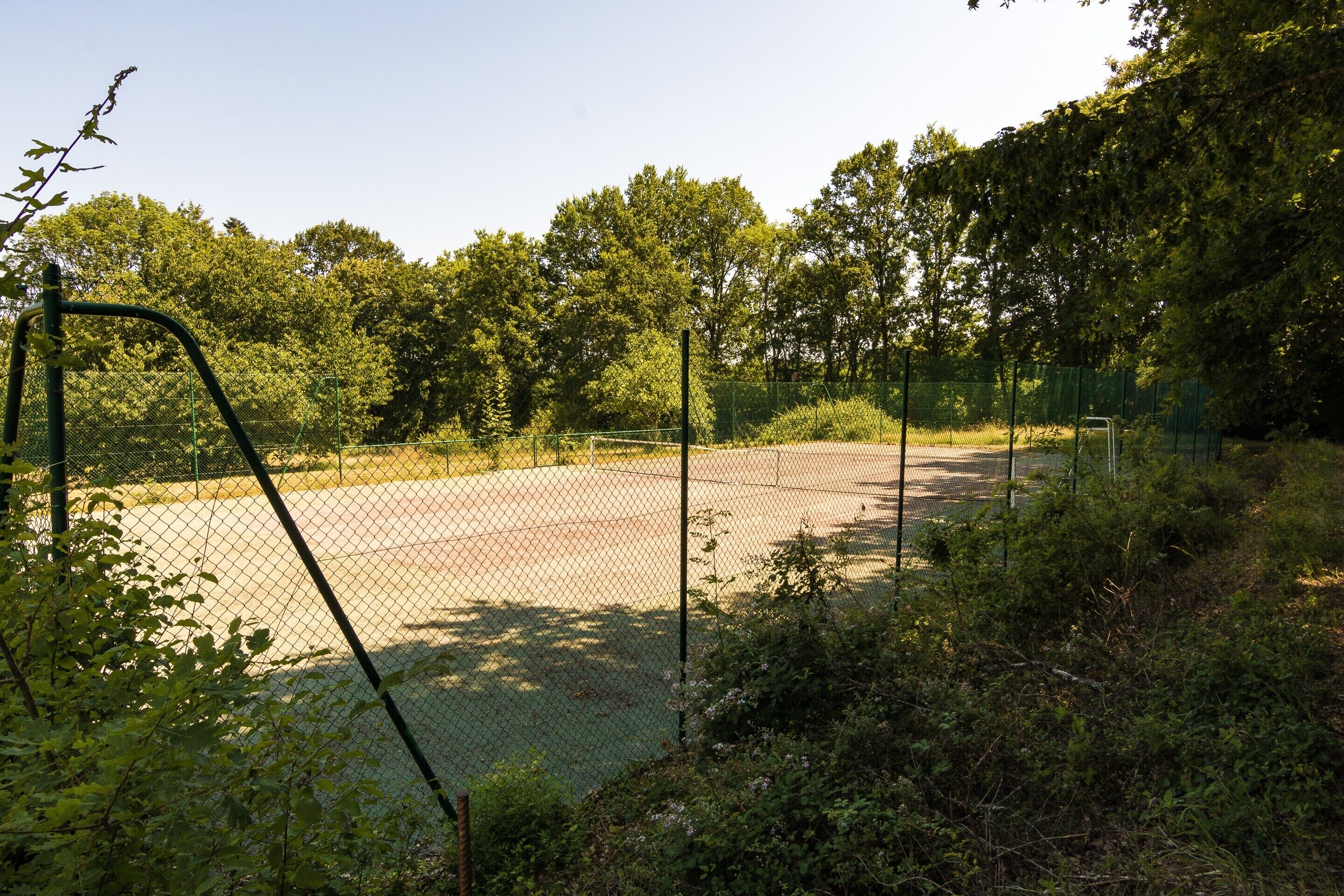 Cottage | Sports court
