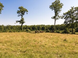 Exterior - Cottage in Chaleix Near Forest and Lake (Chalais)