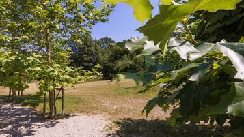 Cottage | View from property