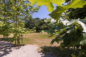 Cottage | View from property - Cottage in Chaleix Near Forest and Lake (Chalais)