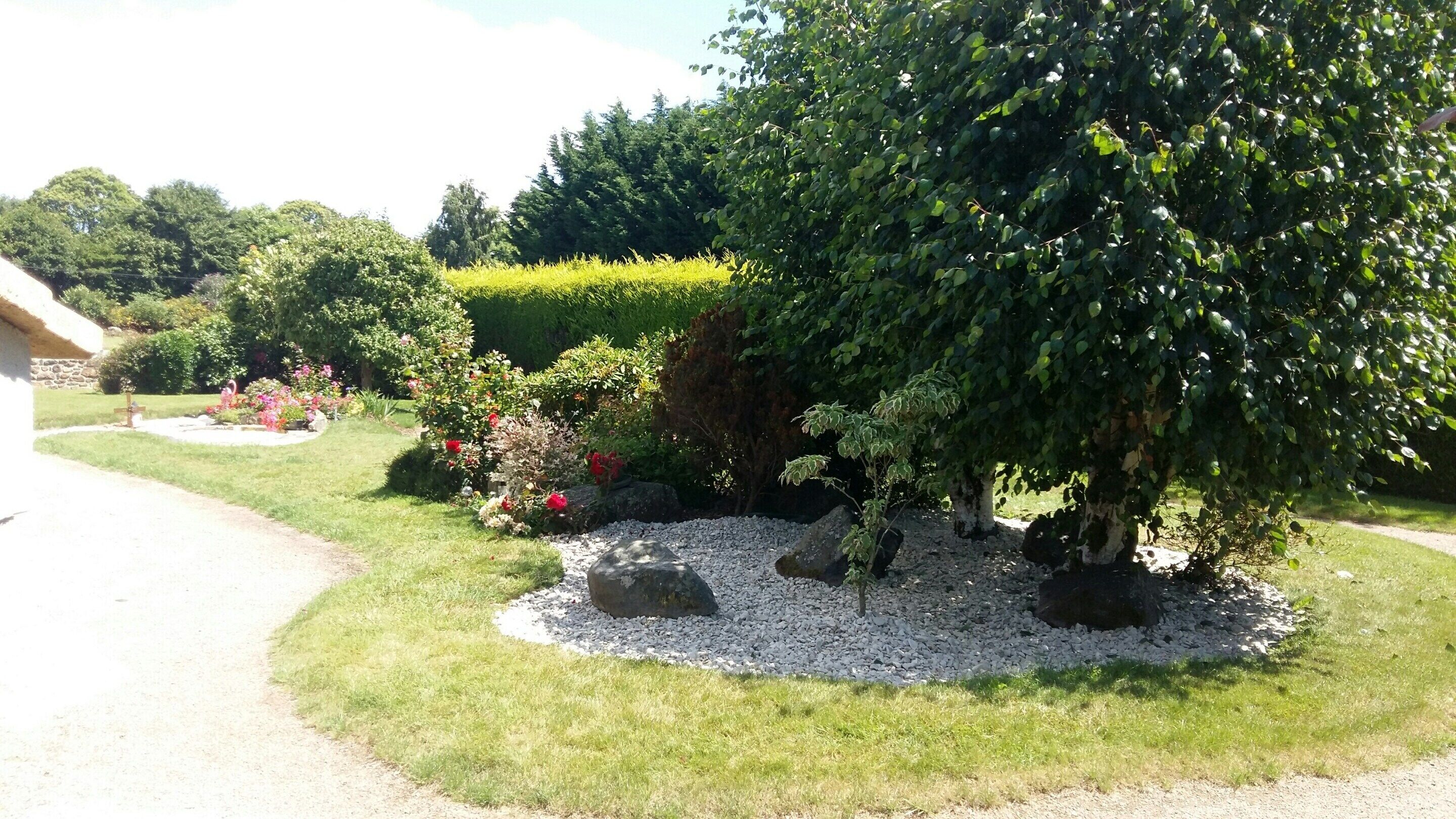 House | View from property