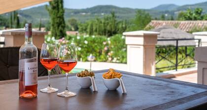Cosy Holiday Home in Seillans With Private Swimming Pool