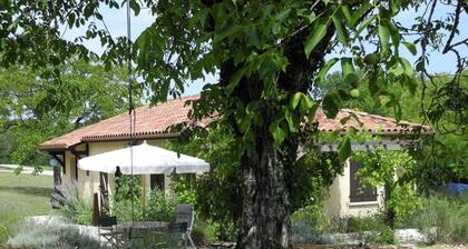Luxurious Holiday Home in Ajat With Pool