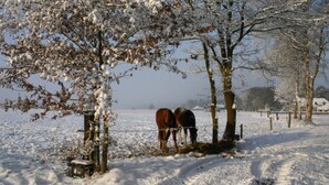 Exterior - Cozy Holiday Home with Garden near De Lemelerberg (Lemele)
