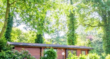 Chalet in Overijssel With Spacious Terrace