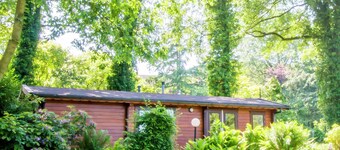 Chalet in Overijssel With Spacious Terrace