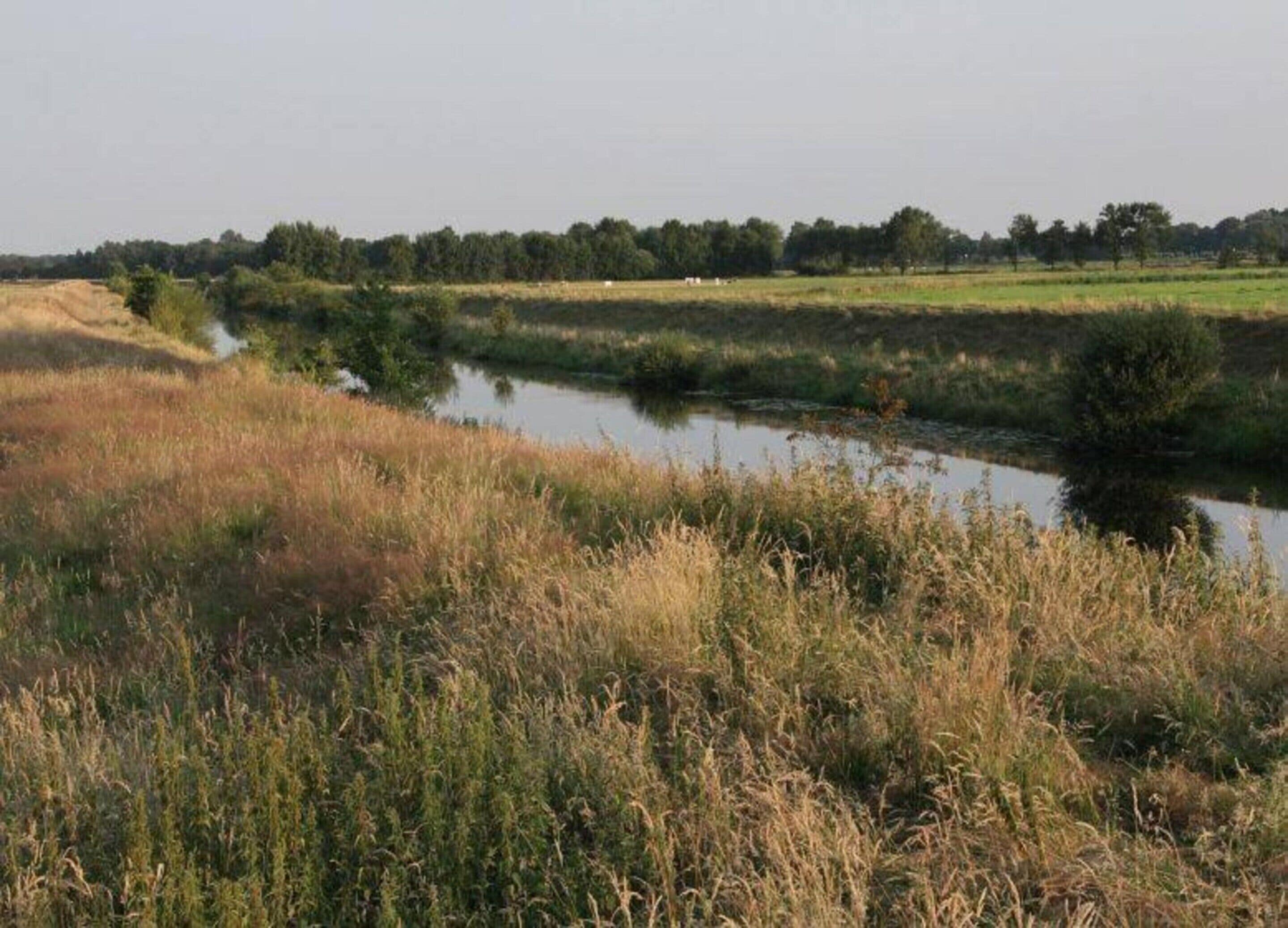 Ein Fluss schlängelt sich durch eine grüne Landschaft mit Bäumen im Hintergrund.