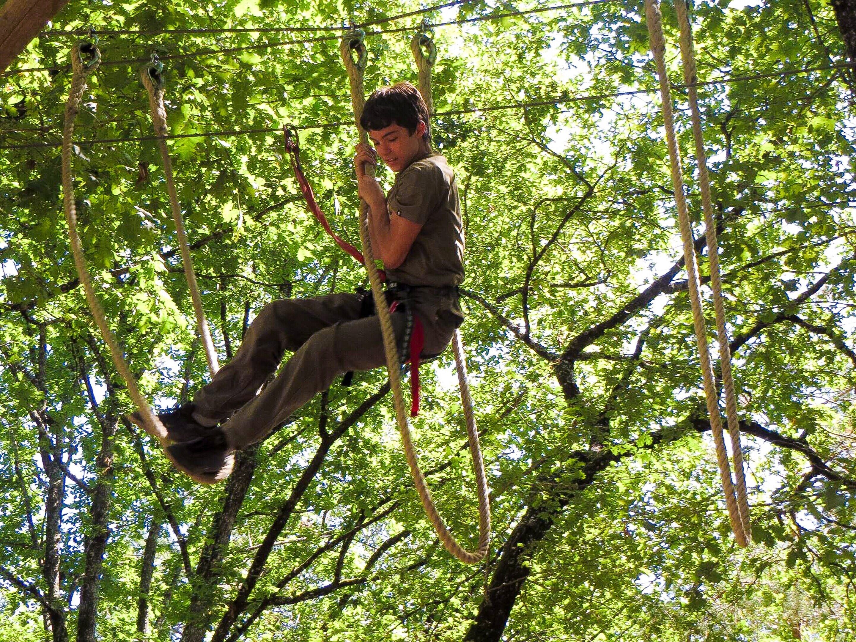 Eine Person erklimmt einen Kletterparcours in einem bewaldeten Gebiet.
