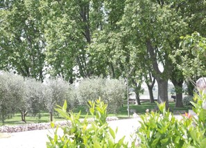 House | View from property - Holiday Home in Lacoste With Pool (Lacoste (Provence))