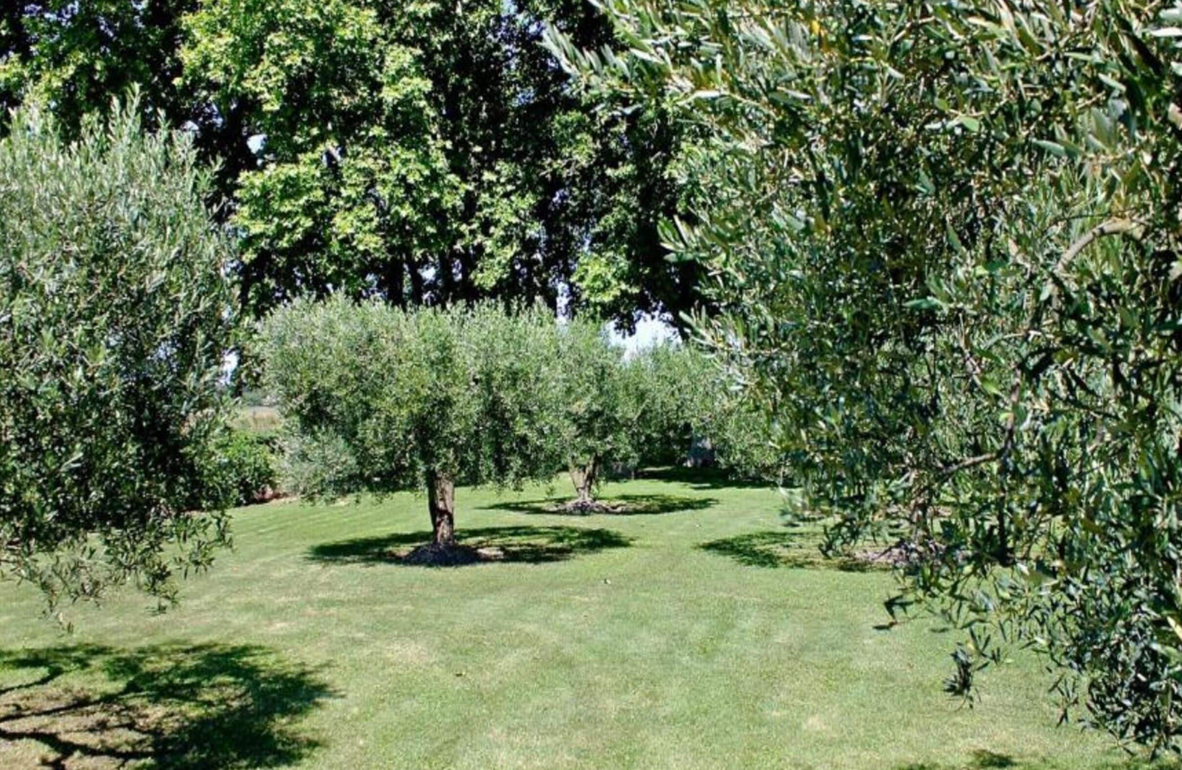 House | View from property