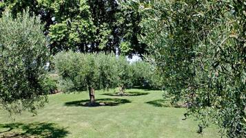 House | View from property