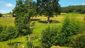 A rural landscape with a large tree, a small stream, and a fenced field. - Peaceful Stay Near Lake (Isigny-le-Buat)