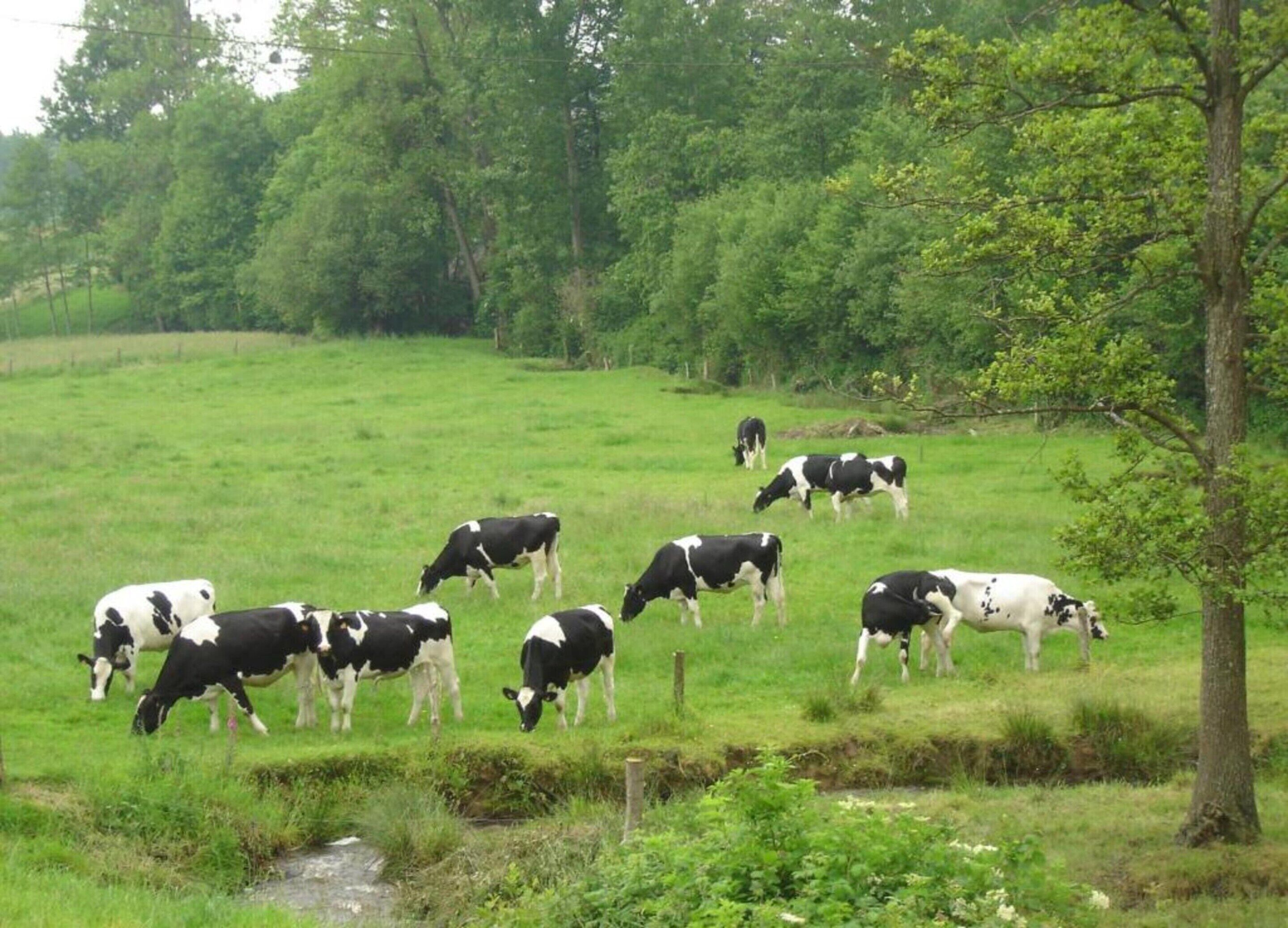 Utsikt fra overnattingsstedet