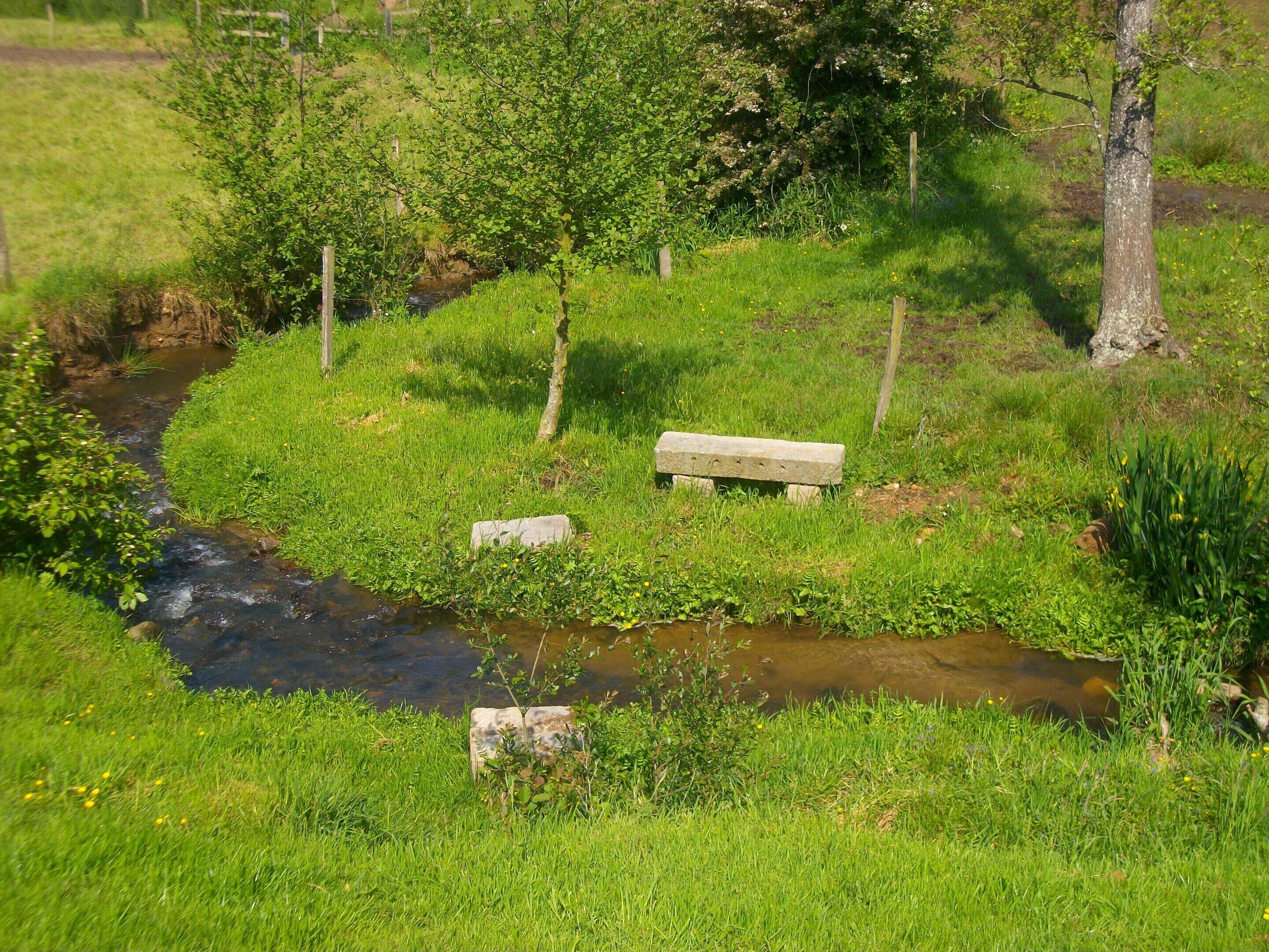 Cottage | Garden