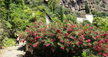 Detached, Cozy Holiday Home With Cabanon and Private Pool, in Beautiful Nature
