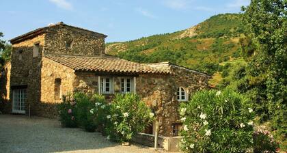 Modern House With Terrace, Near the Popular St. Maxime