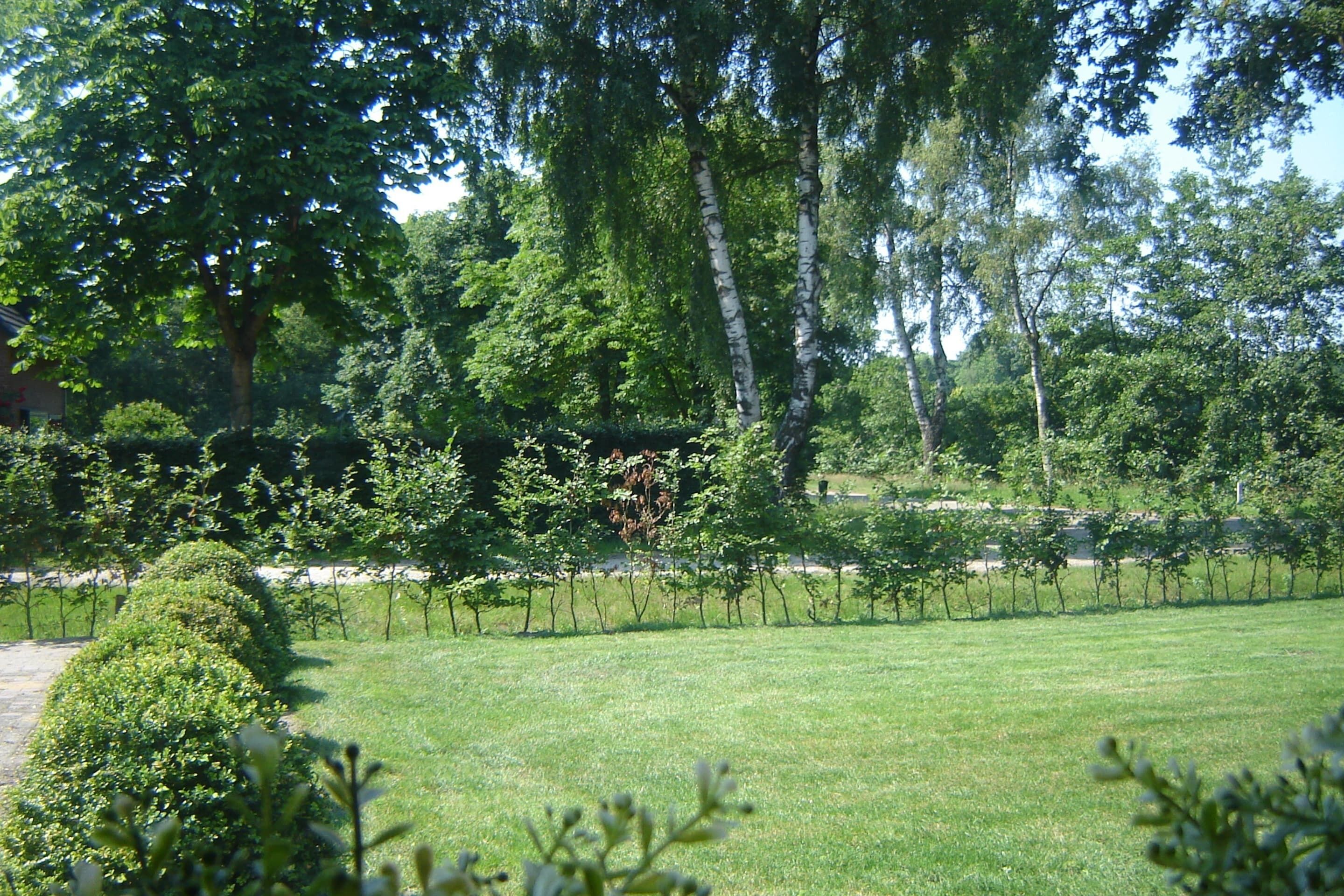 Uma área gramada bem cuidada, com árvores e um viveiro.