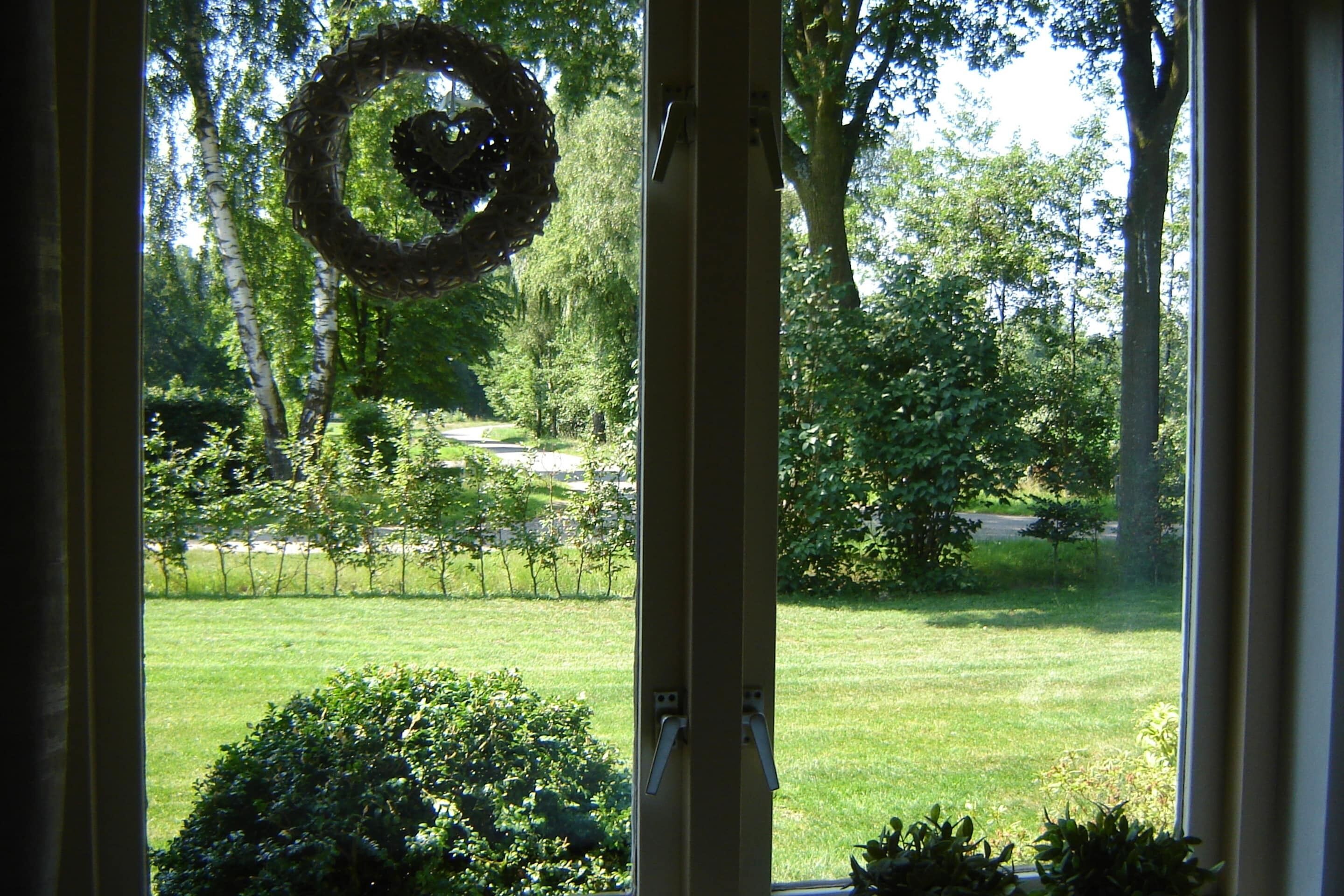 House | View from property