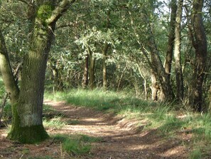 独立别墅 | 住宿景观