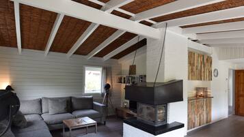 Fireplace, DVD player